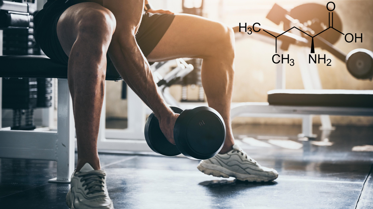BCAA présent dans notre Boisson de récupération après le sport